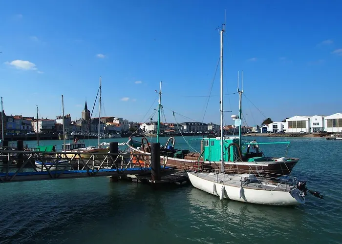 Lumineux 2 Face - D'olonne - Fr-1-92-878 * 莱萨布勒-多洛讷